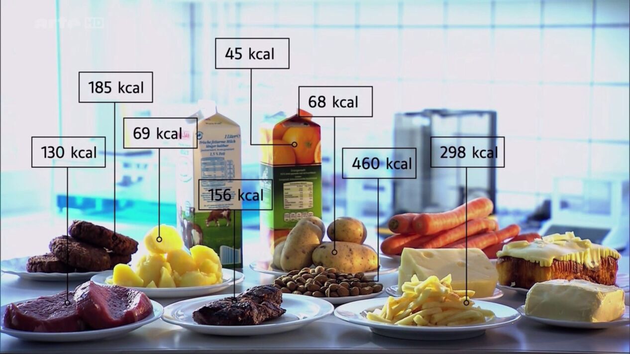 pemilihan makanan pelangsing rendah kalori