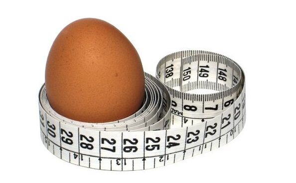 peraturan diet telur